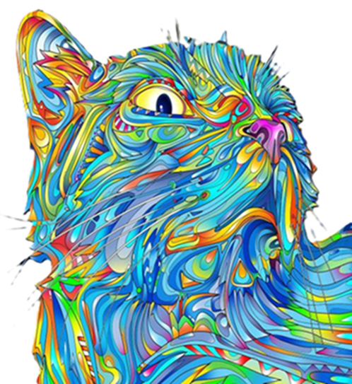 POPYsassdc94xvevfzxhg1a11h3fdssddsfg18334hjgfdasdxcvbfgesd