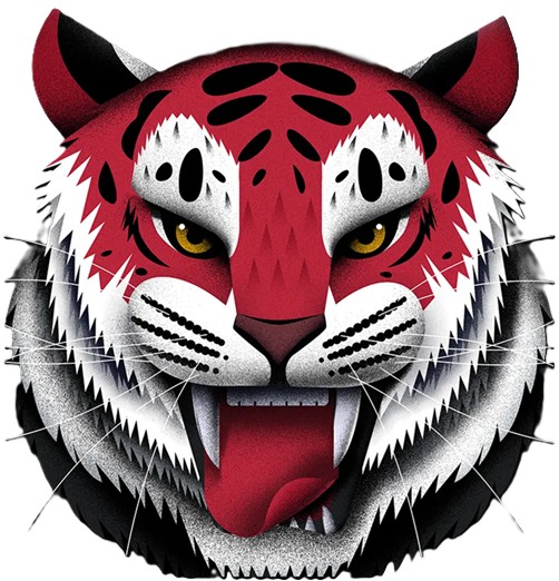 POPYvfzxhg1fdssddsfghj1a14khjgfdsassdc74214+413xveasdxcvbfgesd